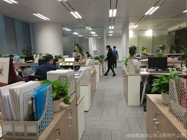 甬邦寧商務咨詢 企業發展的智慧航標